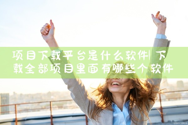 项目下载平台是什么软件