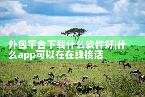 外包平台下载什么软件好