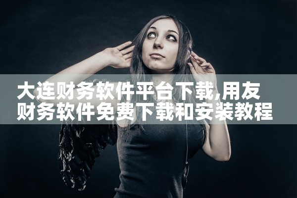 大连财务软件平台下载