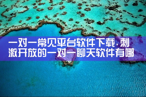 一对一常见平台软件下载
