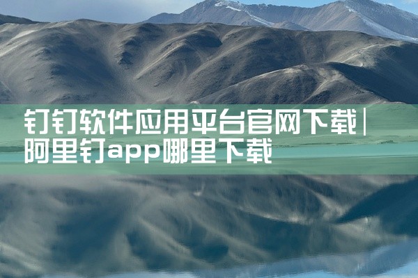 钉钉软件应用平台官网下载