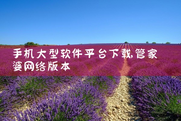 手机大型软件平台下载