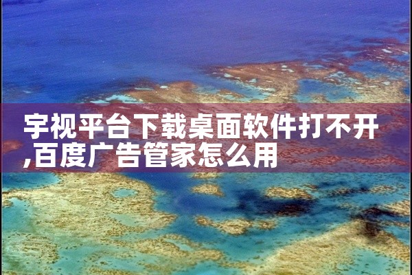 宇视平台下载桌面软件打不开