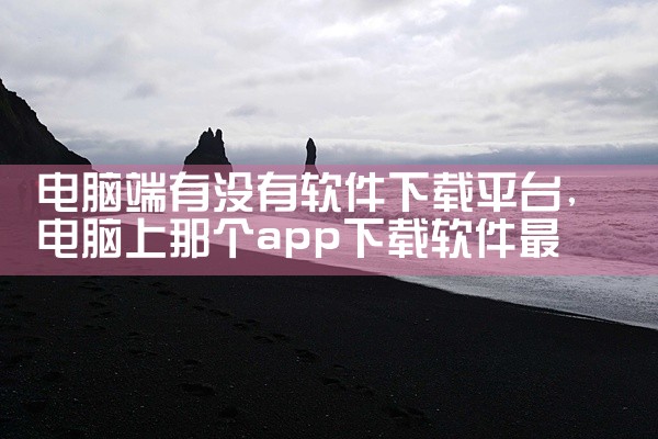 电脑端有没有软件下载平台