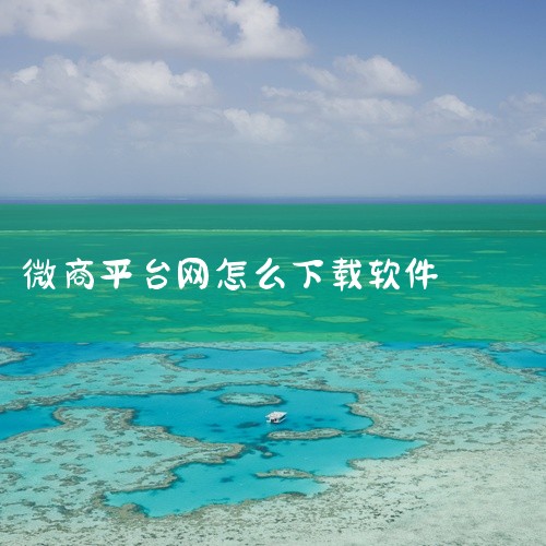 点击链接获取完整素材：https://pan.baidu.com/s/1tCZVqt51Z1KRuJBld3o5_Q?pwd=awa5 微商团长 app是一款运行于安卓平台的应用软件类应用软件。核心功|
