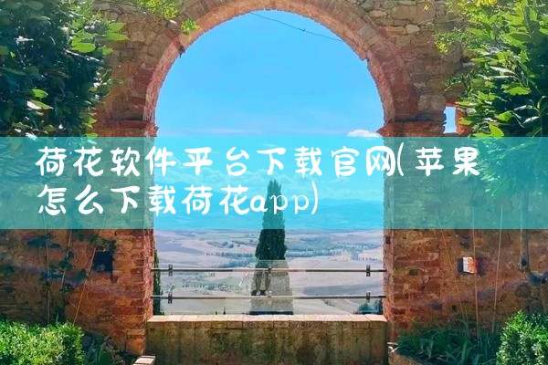 荷花软件平台下载官网