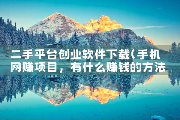 二手平台创业软件下载
