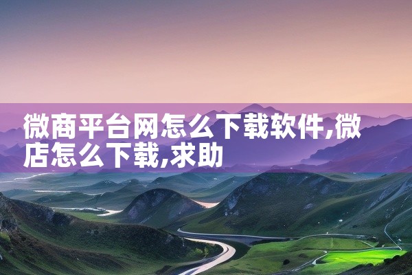 微商平台网怎么下载软件