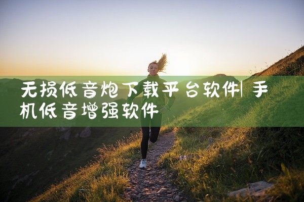 无损低音炮下载平台软件