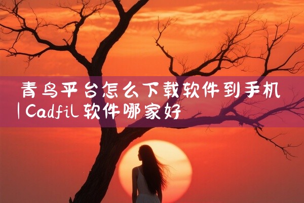 青鸟平台怎么下载软件到手机